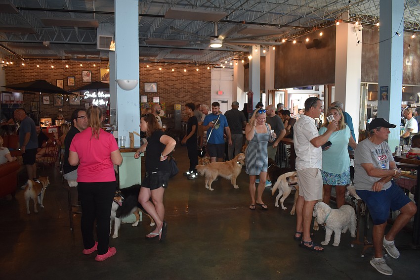 The grand opening was filled with people and dogs.