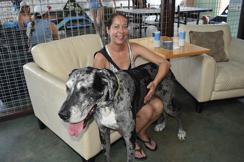 Andrea Cesas meets Apache, a friendly dog in the lounge.