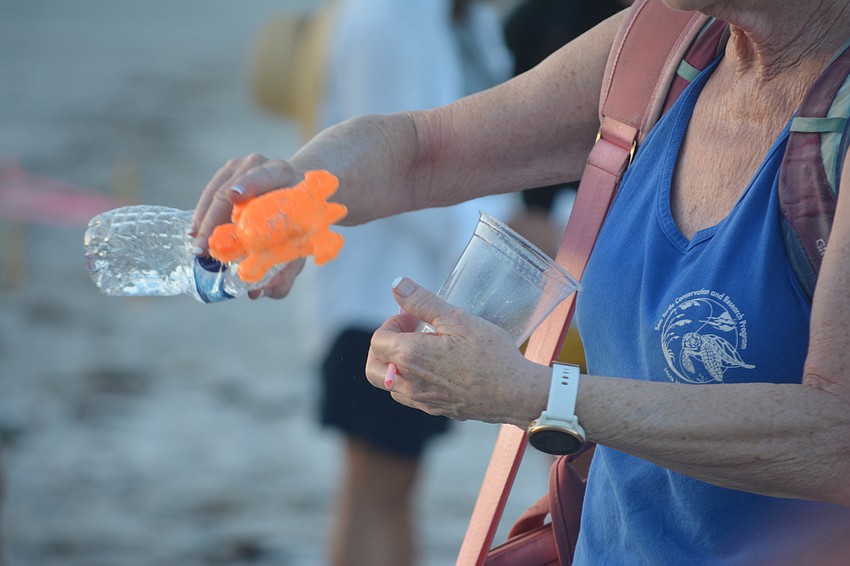 A plethora of trash was found just from the walk to the first location.