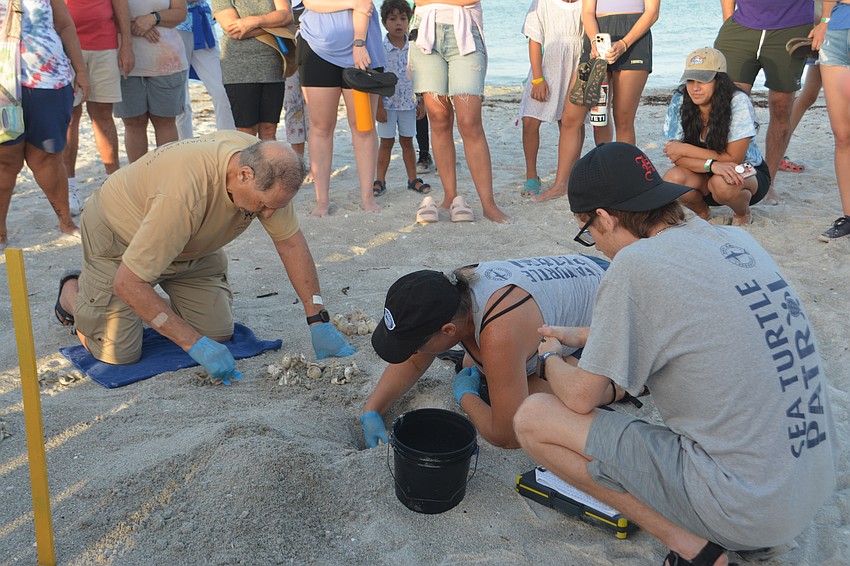 Volunteers Sam DiGiammarino separates the hatched and un-hatched, Brenda Jameson collected the eggs from the nest while Caleb Jameson writes down the collected data.