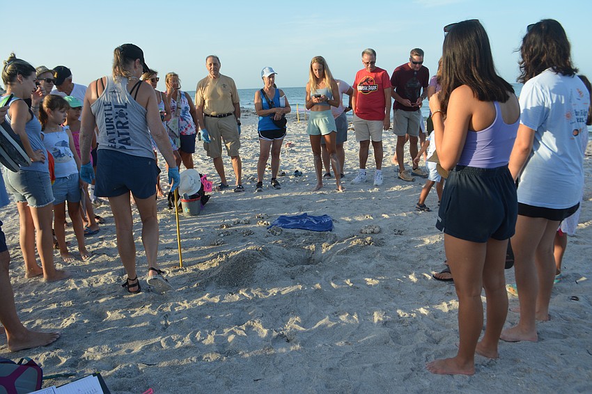 The group of the turtle watchers all crowd around to see the turtle nest that has been dug up by volunteers for research.