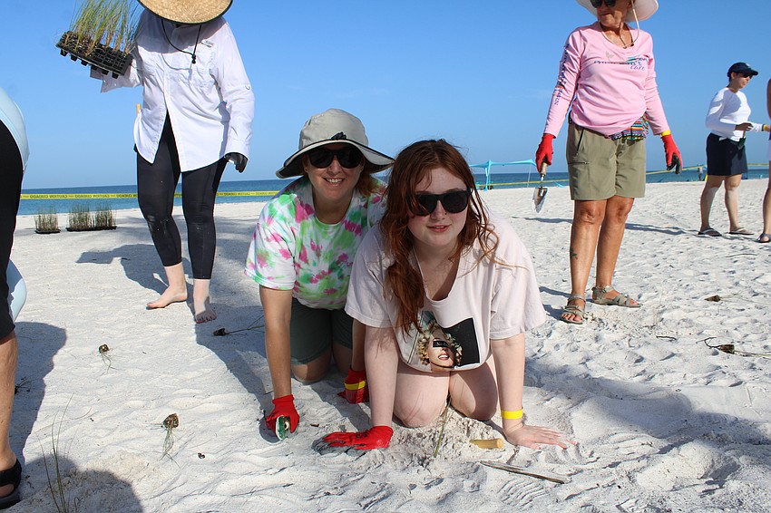 Mary Ann Kiger and Helen Rogers from Sarasota help with the sea oat replanting at Katie Pierola Sunset Park. They were among the 300 volunteers from all over the region who helped plant 12,000 seedlings on July 26.