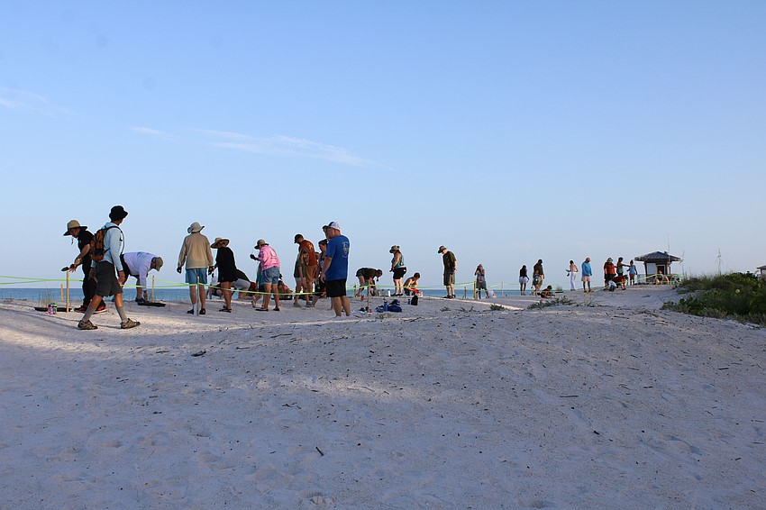 Volunteers planted the sea oat seedlings in areas marked off by coordinators from Keep Manatee Beautiful and partner organizations.