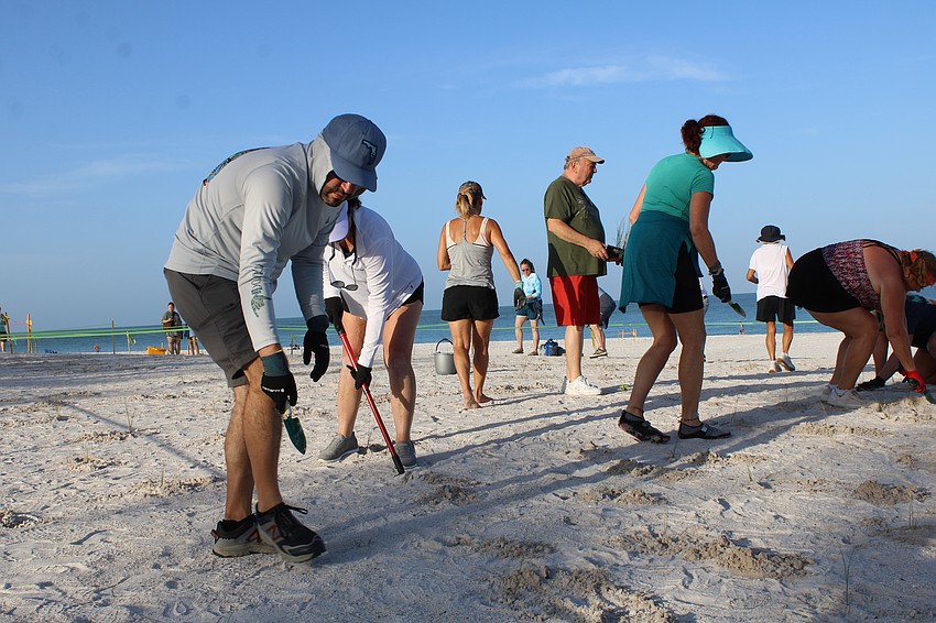 Volunteer Jason Siegel, working with his wife Maurine, scopes out the next spot for a sea oat seedling.