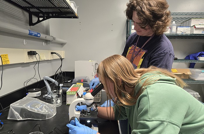 Suncoast Waterkeepers provides weekly water quality testing of coastal waters and publishes results for the public.