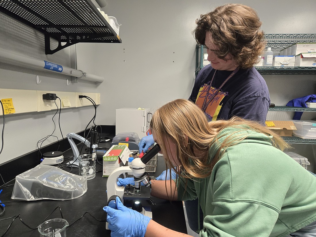 Suncoast Waterkeepers provides weekly water quality testing of coastal waters and publishes results for the public.