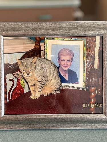 Benji's wild heart was broken when Georgette Joubert died last year. Photo by Abbie Pace