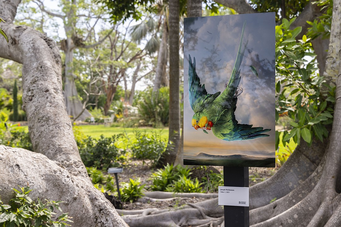 Joseph McGlennon's 2021 photo "Pollen 1" is part of "The High Life" exhibition at Marie Selby Botanical Gardens.