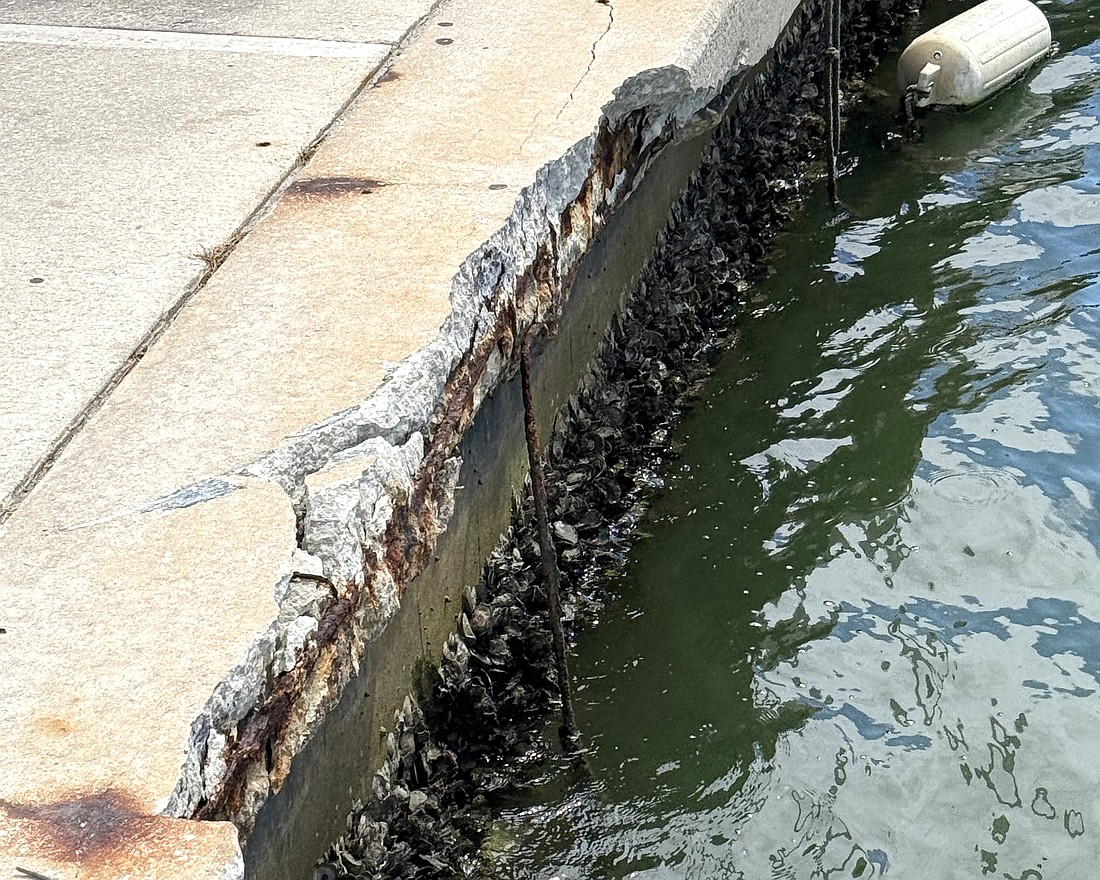 A portion of damaged sea wall along the Marina Jack A Dock adjacent to Bayfront Park.
