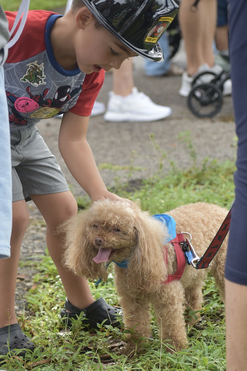Louie Romanoff, 4, pets Teddy of the Humane Society of Sarasota County.