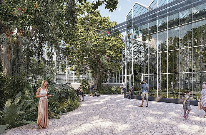 A conceptual rendering of the Oak Grove Garden for Selby Gardens Master Plan Phase 2.