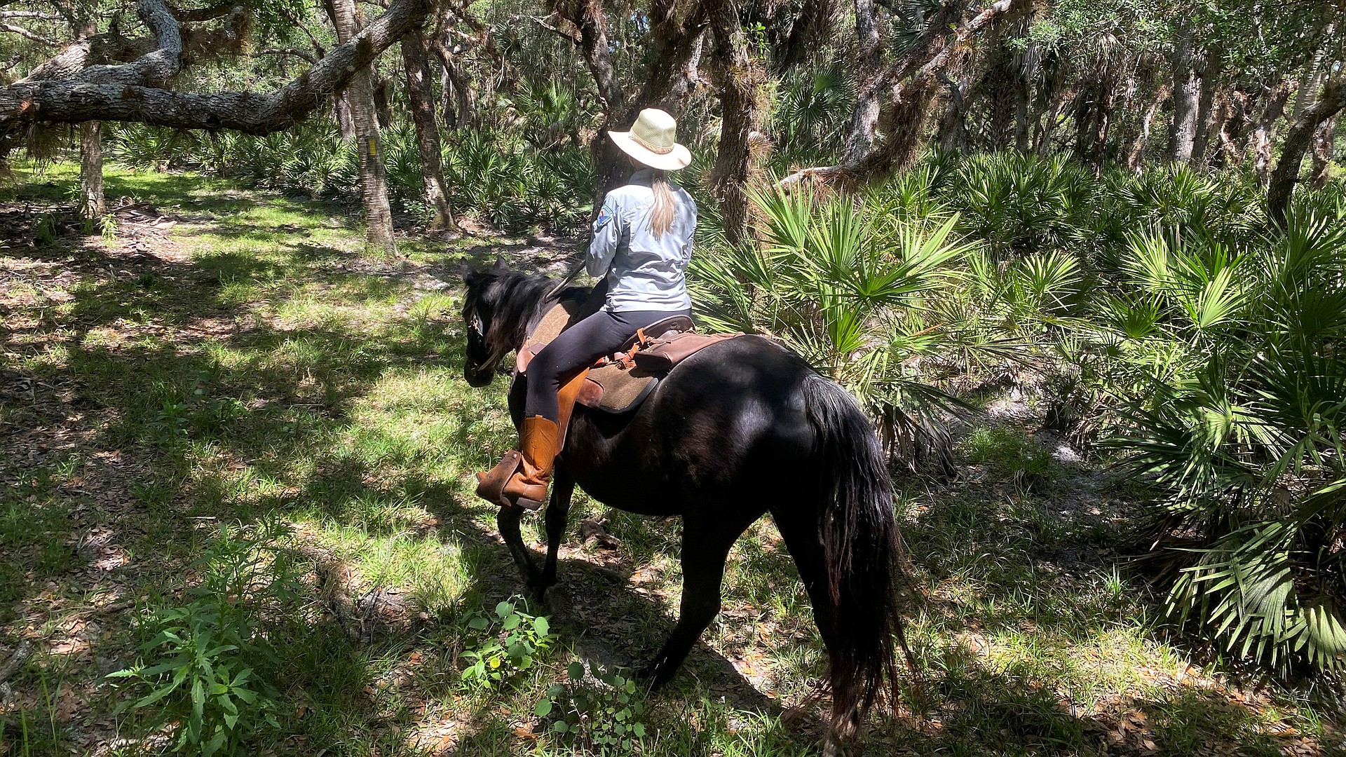 Jean Blackburn rides through a canopy of oak and palm on her Old Miakka property — 14 acres of native Florida habitat that fuels both her artwork and conservation efforts.