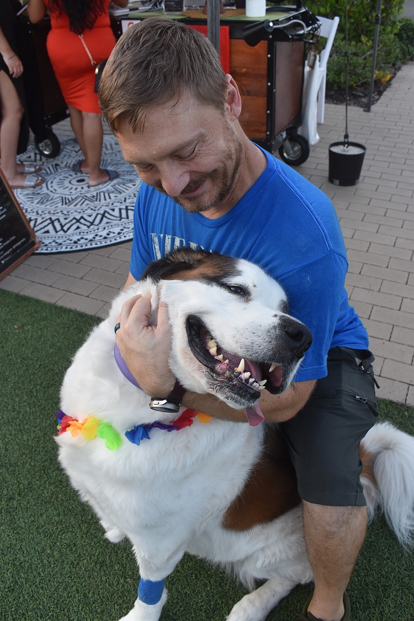 Sarasota's Bill Morehouse says Ivy, a 9-year-old St. Bernard, shows her two favorite things are people and puppies.