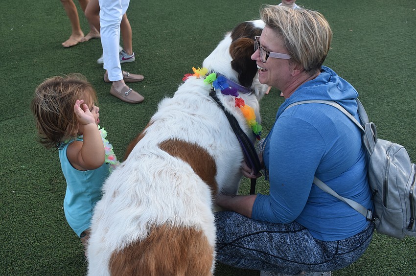 Sarasota's Ocean Blue Hall, 16 months, checks out Anja Morehouse's 9-year-old St. Bernard named Ivy.