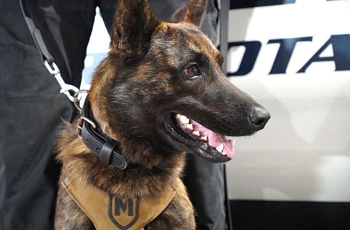 K-9 Officer Butch becomes the fourth deployed by the Sarasota Police Department.