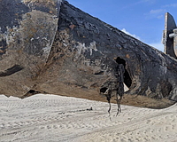 The subaqueous wastewater pipeline was damaged by corrosion from resting against a log or tree stump, spilling about 11 million gallons of sewage before being repaired, according to a Longboat Key permit support document.