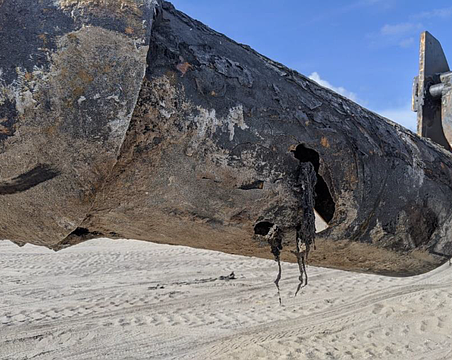 The subaqueous wastewater pipeline was damaged by corrosion from resting against a log or tree stump, spilling about 11 million gallons of sewage before being repaired, according to a Longboat Key permit support document.