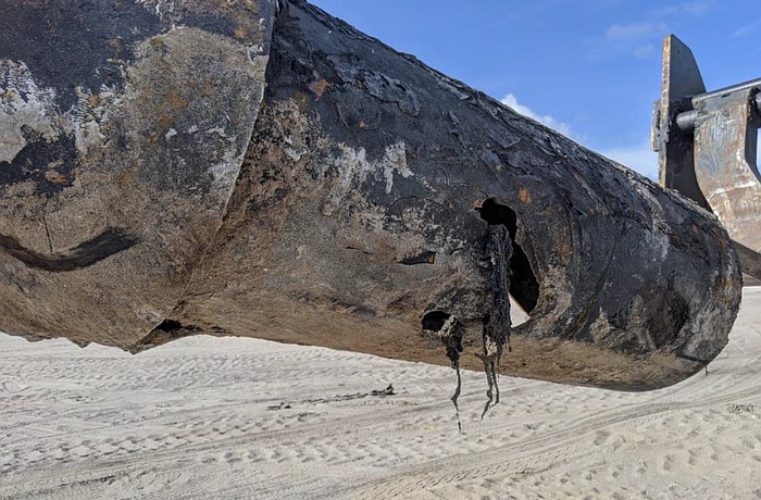 The subaqueous wastewater pipeline was damaged by corrosion from resting against a log or tree stump, spilling about 11 million gallons of sewage before being repaired, according to a Longboat Key permit support document.
