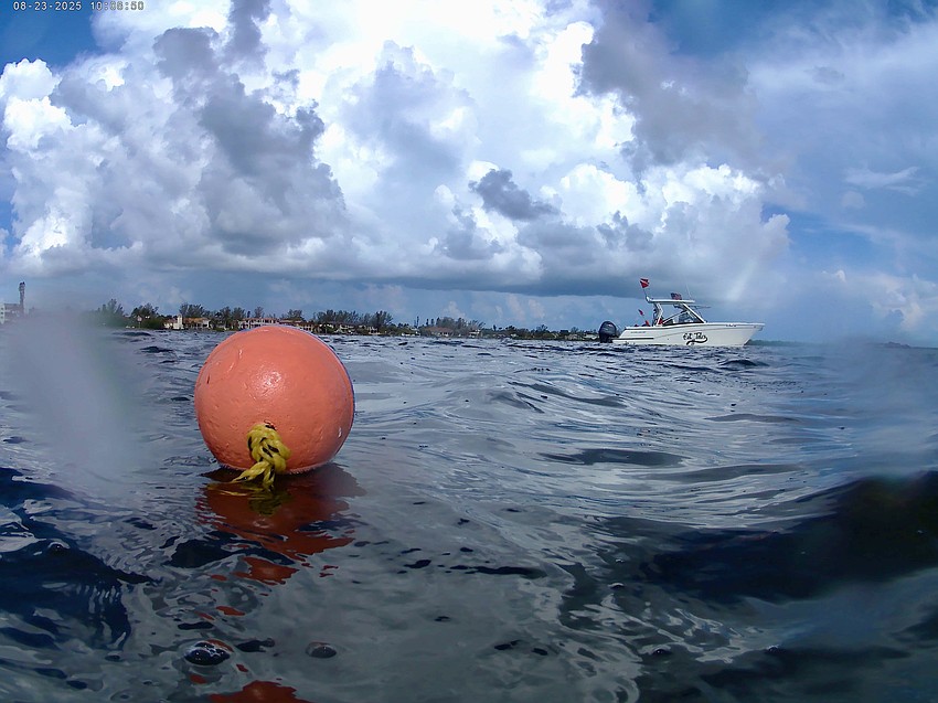 Volunteers working with Sarasota Bay Watch laid out transects with buoys and weighted lines to guide their search for scallops.