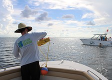 Volunteer Peter Bonk spools out line for the grid-based search for scallops in Sarasota Bay during the Great Scallop Search of 2025.