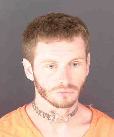 David Mensch, 29, was arrested and booked on several charges.