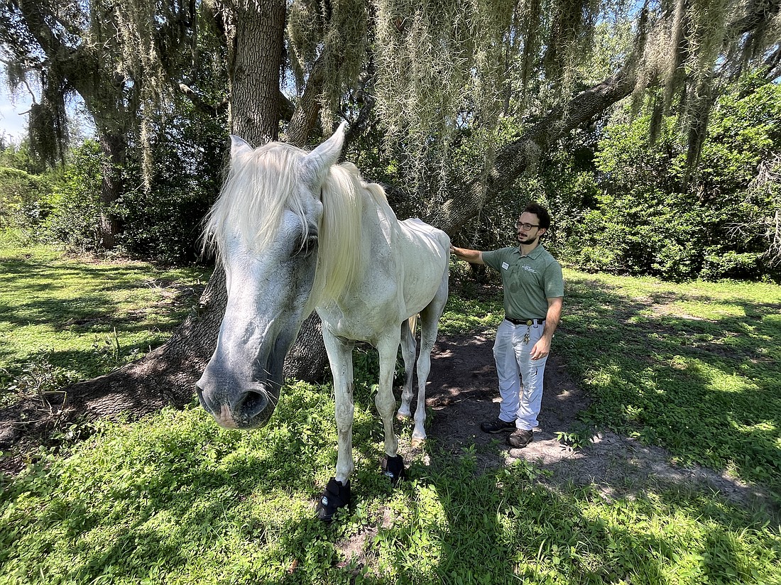 Tony Ulivella said Tsaber is a “happy, old man” who “wants what he wants when he wants it, how he wants it, but he also loves being around people.”