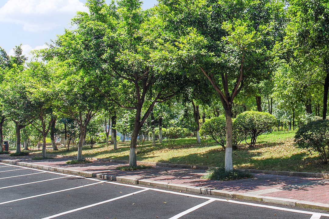 Jacksonville Planning Commission endorses revisions to parking, landscaping regulations Jacksonville Planning Commission endorses revisions to parking, landscaping regulations
