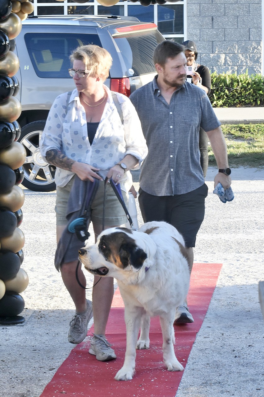 Anja and Bill Morehouse walk the red carpet with their St. Bernard Ivy.