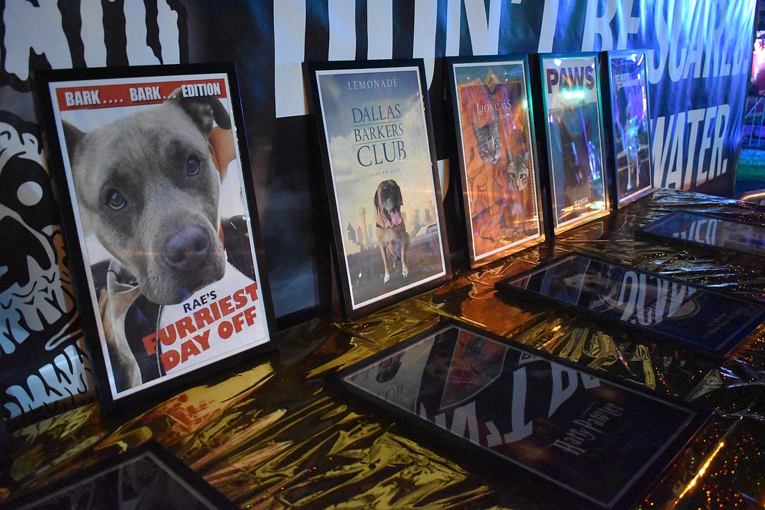 Movie posters in honor of the winning pups are set out on display.