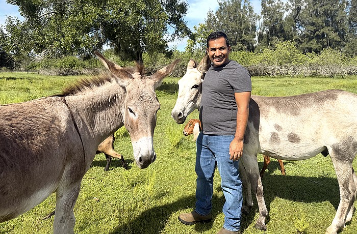 When Nikesh Patel isn't at City Hall he is at his small family farm near Myakka caring for a variety of animals.