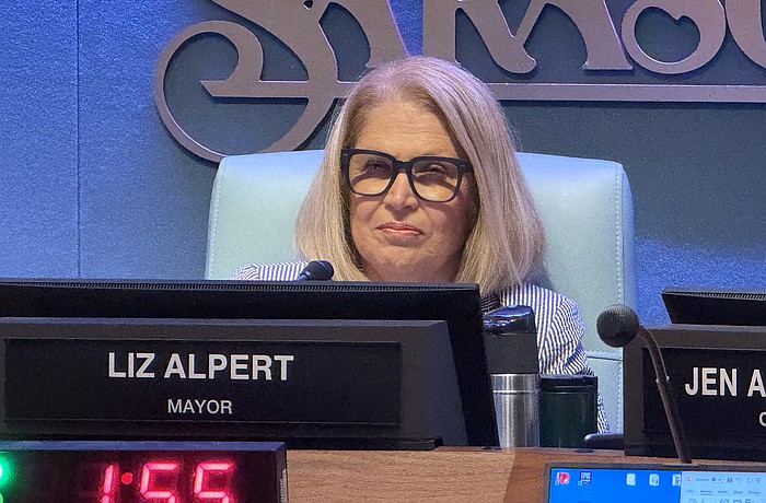 Sarasota Mayor Liz Alpert said she was "blown away" by executive search firm Sumter Local Government Consulting during a virtual interview with founder and president Warren Hutmacher.