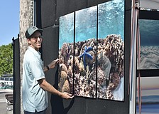 Bradenton photographer Jimmy Chadsey hangs a painting on the wall.