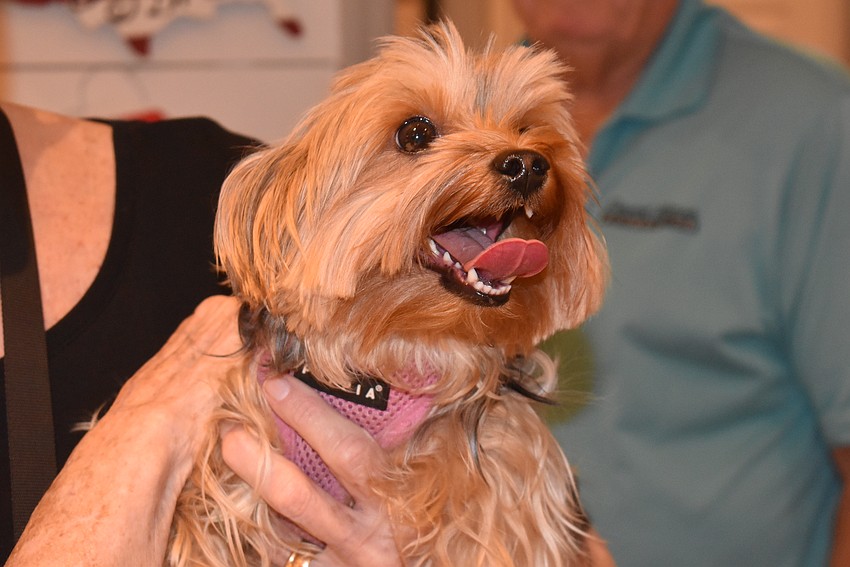 Frankie is ready for the tasting.