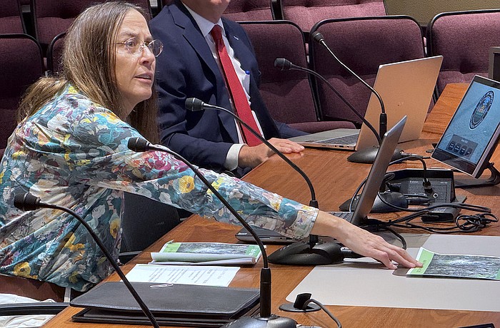 Laurel Park resident Kelly Franklin points to plans for Selby Gardens Master Plan Phase 2 development while addressing the Sarasota City Commission.
