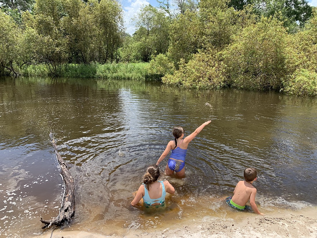 Lindsey Leigh's children splash in the Myakka River. Leigh is advocating for Manatee County to protect its portion of the river.