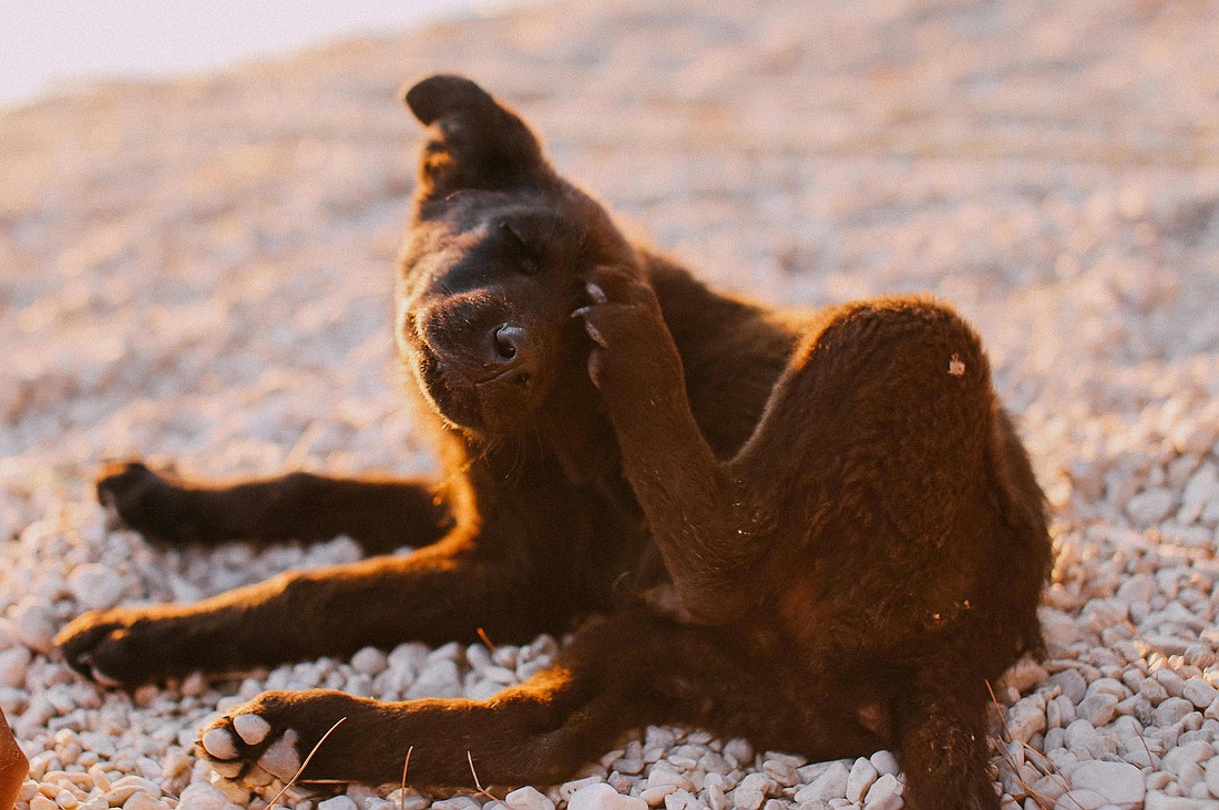 Pexels photo/Rachel Claire