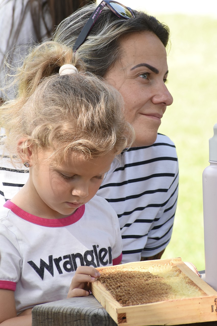 Eden Roy, 5, and her aunt Lindi Dierna, look at one of the frames from Lauren Hofing's beehive equipment.