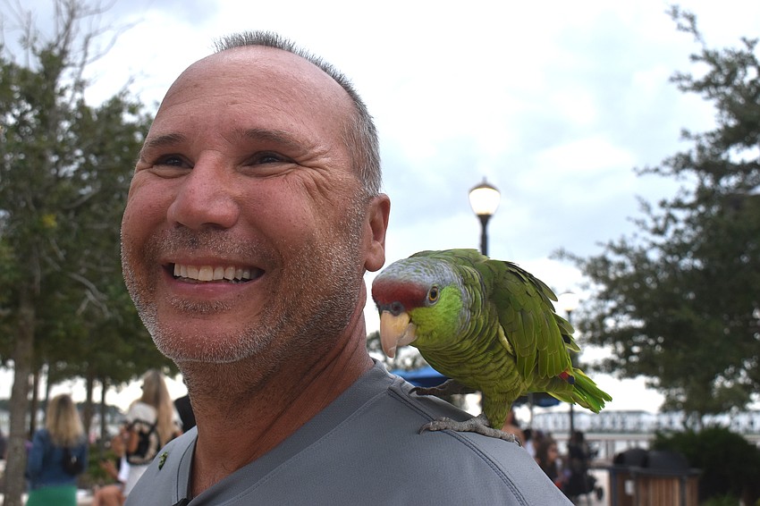 Parrish’s Lyle Pohlen brings his Lilac-crowned amazon
named Taco, who he describes as social, everywhere he goes.