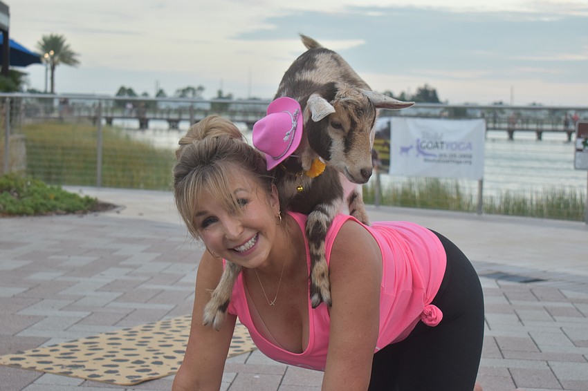 Blissful Goat Yoga's Janelle Ryan is joined by a goat while she stretches. Goat yoga will be part of Ranch Nite Wednesdays every first Wednesday of the month.