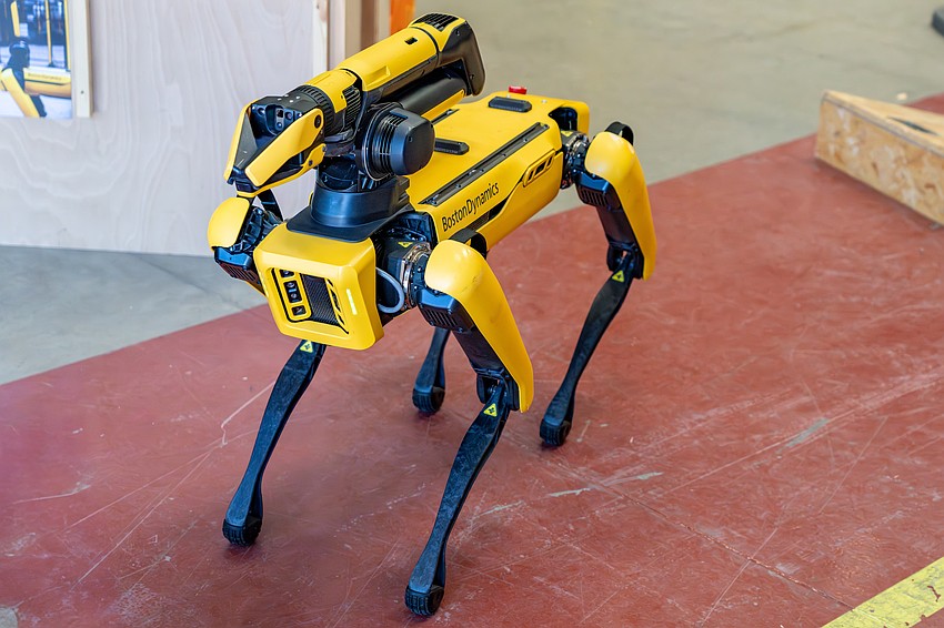 Sarasota Police Chief Rex Troche hopes to add Spot the robotic dog made by Boston Dynamics to the SPD's arsenal of advanced technology tools. Sarasota Police Chief Rex Troche hopes to add Spot the robotic dog made by Boston Dynamics to the SPD's arsenal of advanced technology tools.