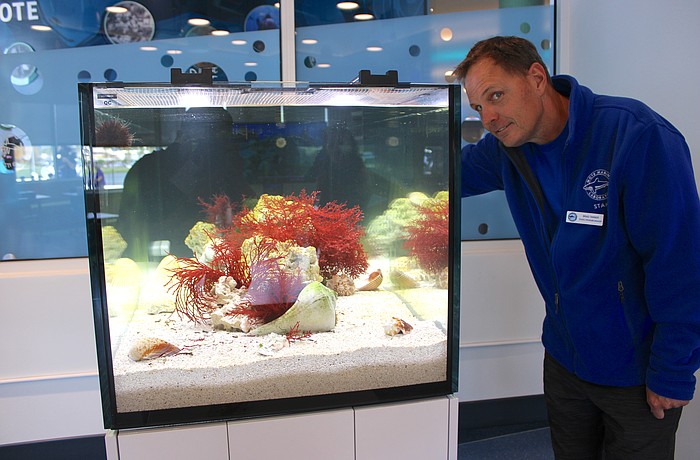 Mote's Brad Tanner, the manager of school programs, is ready to coordinate visits from students to the aquarium's teaching labs.