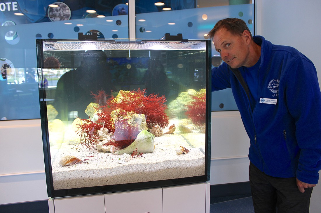 Mote's Brad Tanner, the manager of school programs, is ready to coordinate visits from students to the aquarium's teaching labs.