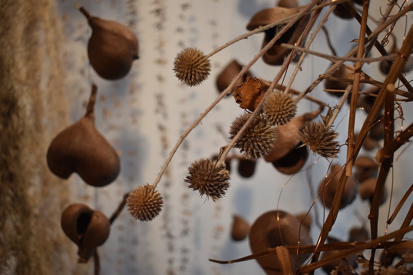 The Orchid Show 2025: Rebecca Louise Law is on view Oct. 11 to Dec. 7.
