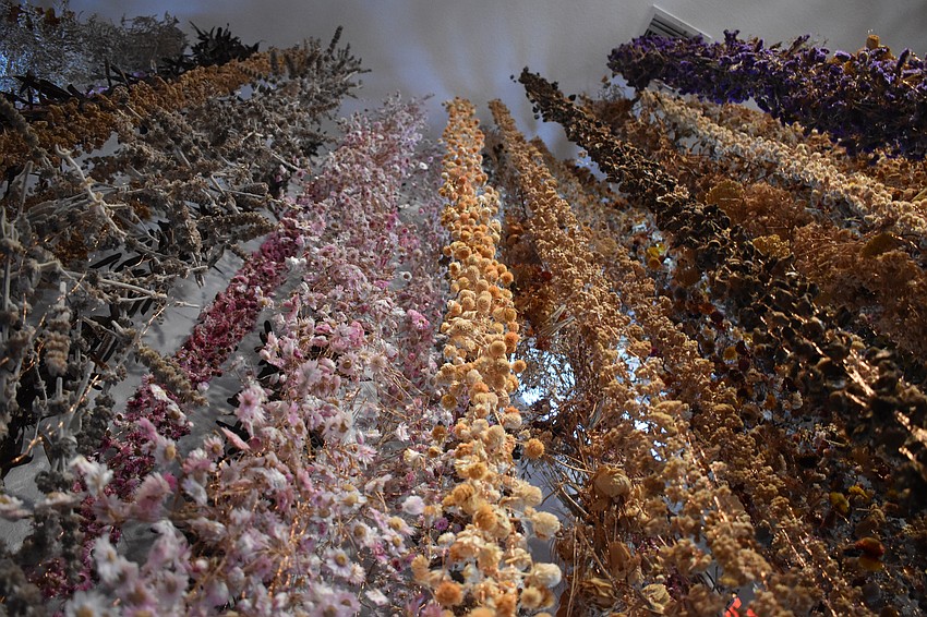 The Orchid Show 2025: Rebecca Louise Law is on view Oct. 11 to Dec. 7.