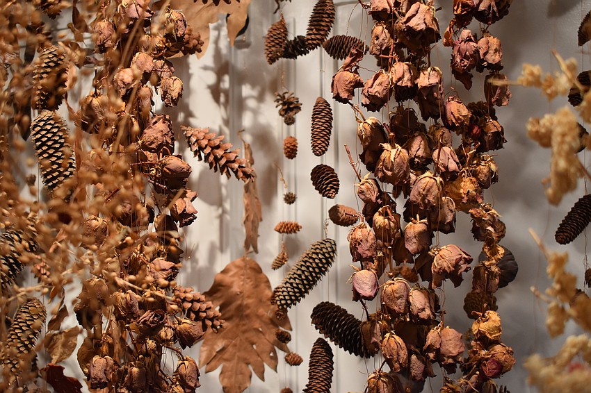 The Orchid Show 2025: Rebecca Louise Law is on view Oct. 11 to Dec. 7.