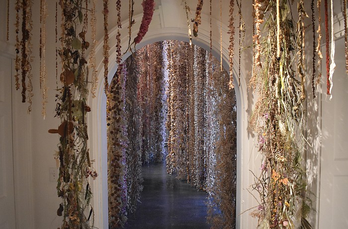 The Orchid Show 2025: Rebecca Louise Law is on view Oct. 11 to Dec. 7.