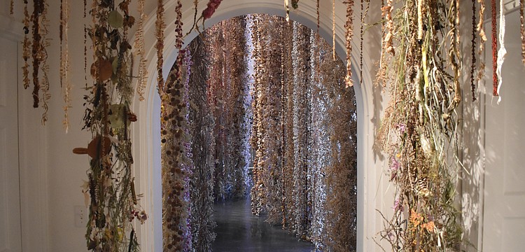 The Orchid Show 2025: Rebecca Louise Law is on view Oct. 11 to Dec. 7.