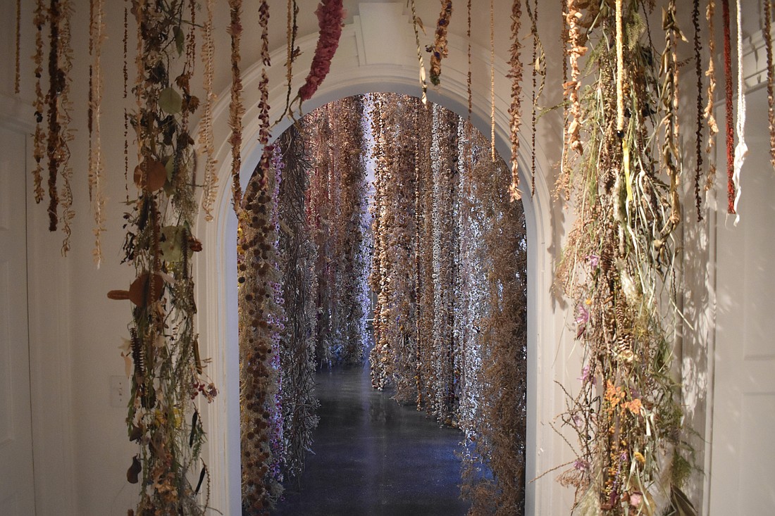 The Orchid Show 2025: Rebecca Louise Law is on view Oct. 11 to Dec. 7.