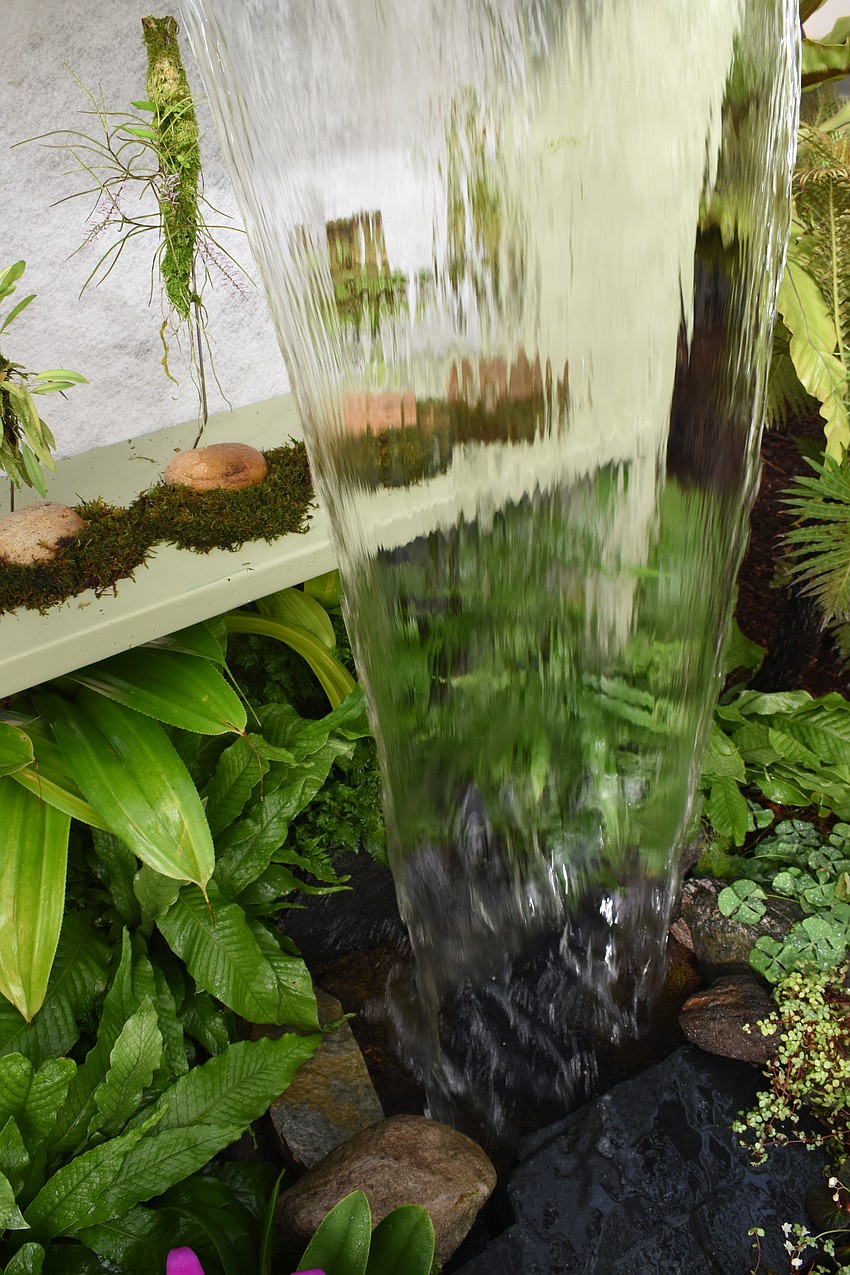 Selby Gardens' new Display Conservatory includes a bookshelf-style structure in honor of the Botanical Research Library, which preserves old books. The theme of preservation in Law's artwork ties in with the preserved items, including plants, at Selby Gardens.
