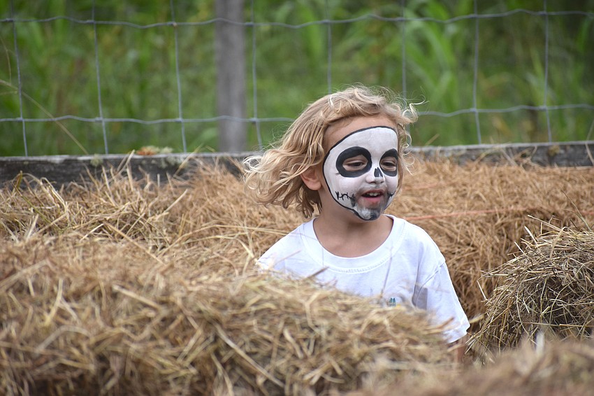 Bradenton’s Collier Moore, 3, came to the festival for the first time and got to get his face painted and try funnel cake.